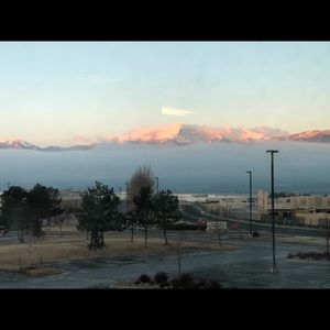 Meet your Posher, Marlene